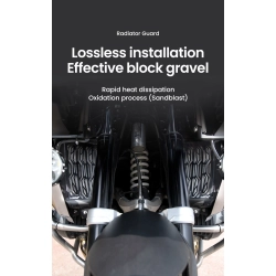 LOBOO Osłona chłodnicy do BMW R1250GS (2019-), BMW R1250GS ADV (2019-) (10.3.07082.001.11)