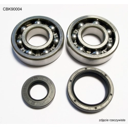 BEARING WORX łożyska wału korbowego YAMAHA YZ250 88-97 (NTN) (24-1027) MOTORUS.PL