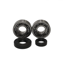 BEARING WORX łożyska wału korbowego KTM SX50 02-08 (NTN) (24-1101) MOTORUS.PL