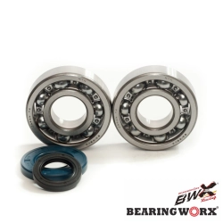 BEARING WORX łożyska wału korbowego z uszczelniaczami SUZUKI RM250 03-04 (MADE IN JAPAN) (NTN) (24-1046) MOTORUS.PL