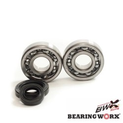 BEARING WORX łożyska wału korbowego z uszczelniaczami HONDA CR125 79-07 (MADE IN JAPAN) (NTN) (24-1003)=CBK30002 MOTORUS