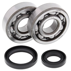 ALL BALLS ŁOŻYSKA WAŁU KORBOWEGO Z USZCZELNIACZAMI SUZUKI RM 80/85 89-22