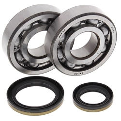 ALL BALLS ŁOŻYSKA WAŁU KORBOWEGO Z USZCZELNIACZAMI SUZUKI RM 250 96-02