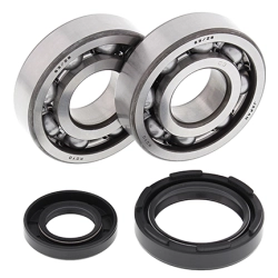 ALL BALLS ŁOŻYSKA WAŁU KORBOWEGO Z USZCZELNIACZAMI YAMAHA YZ 250 88-97