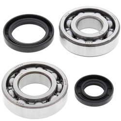 ALL BALLS ŁOŻYSKA WAŁU KORBOWEGO Z USZCZELNIACZAMI SUZUKI RM250 82-85