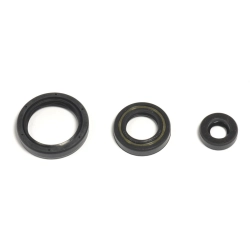 ATHENA P400220400263 komplet, zestaw uszczelniaczy silnikowych HUSQVARNA TE/TC 250 10-14, TE/TXC 310 11-14 MOTORUS.PL