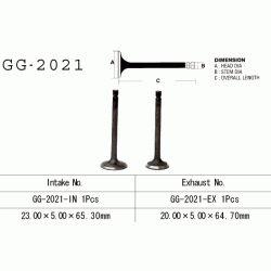 VESRAH GG-2021-IN zawór ssący YAMAHA YFM80 92-08