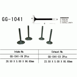 VESRAH GG-1041-IN zawór ssący HONDA XR250R 96-04
