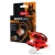 ALPINE MotoSafe RSPORT stopery zatyczki motocyklowe do uszu z filtrem PARA sklep MOTORUS.PL
